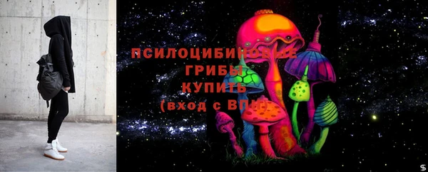 стаф Магадан