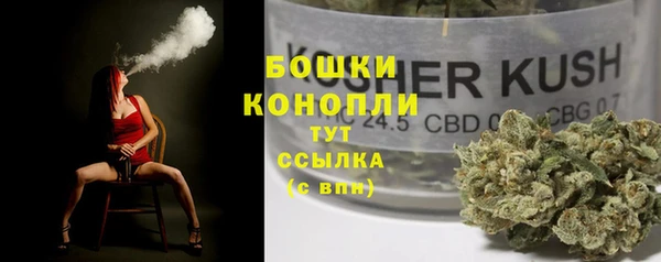 стафф Майский
