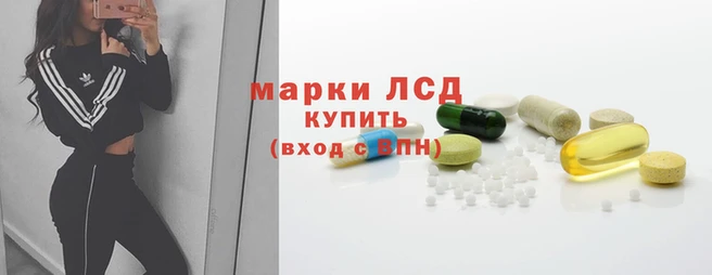стафф Майский