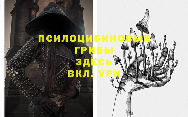 а пвп мука Магас