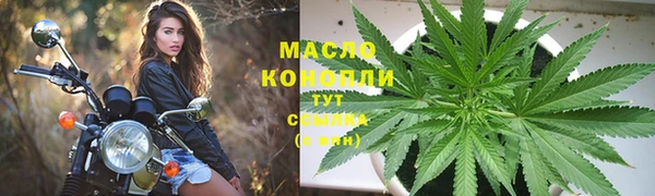 стафф Майский