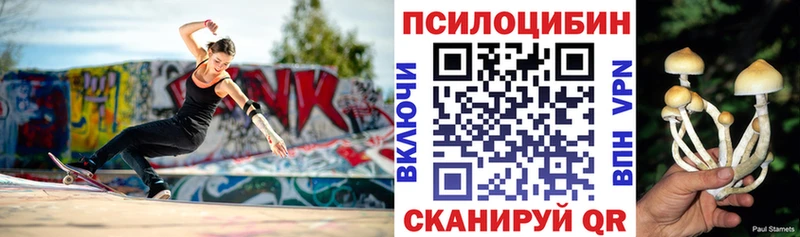 Купить  Рославль  Псилоцибиновые грибы мицелий 